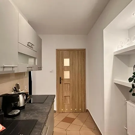 The M O D E R N C I T Y Spot Apartment Katowice