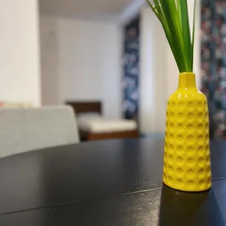 The M O D E R N C I T Y Spot Apartment