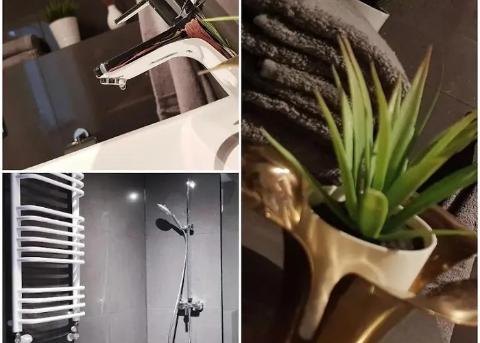 The M O D E R N C I T Y Spot * Katowice